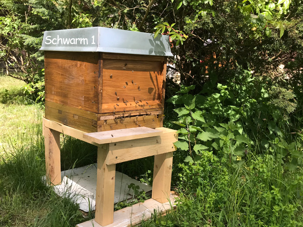 2020 Bienen01