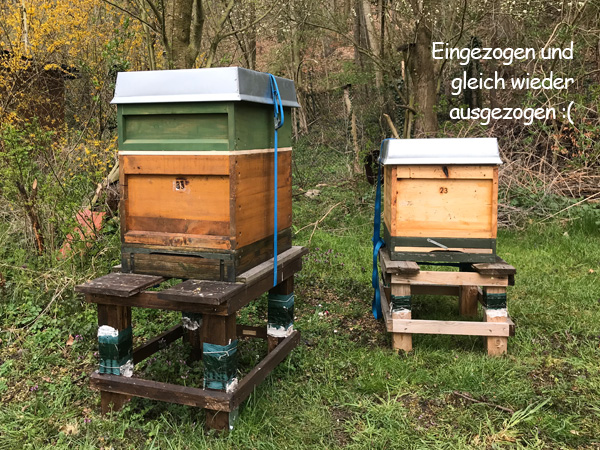 2020 Bienen02