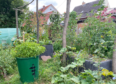 NeuesGem 05