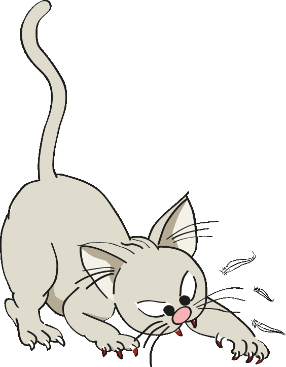 Katze01