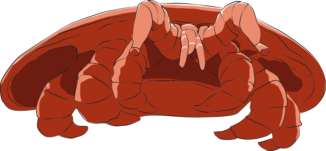 Varroa 2