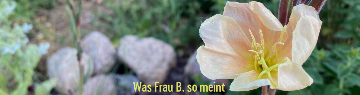 Head Ansichten B