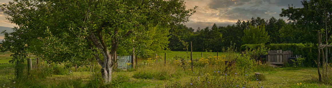 Head Garten2